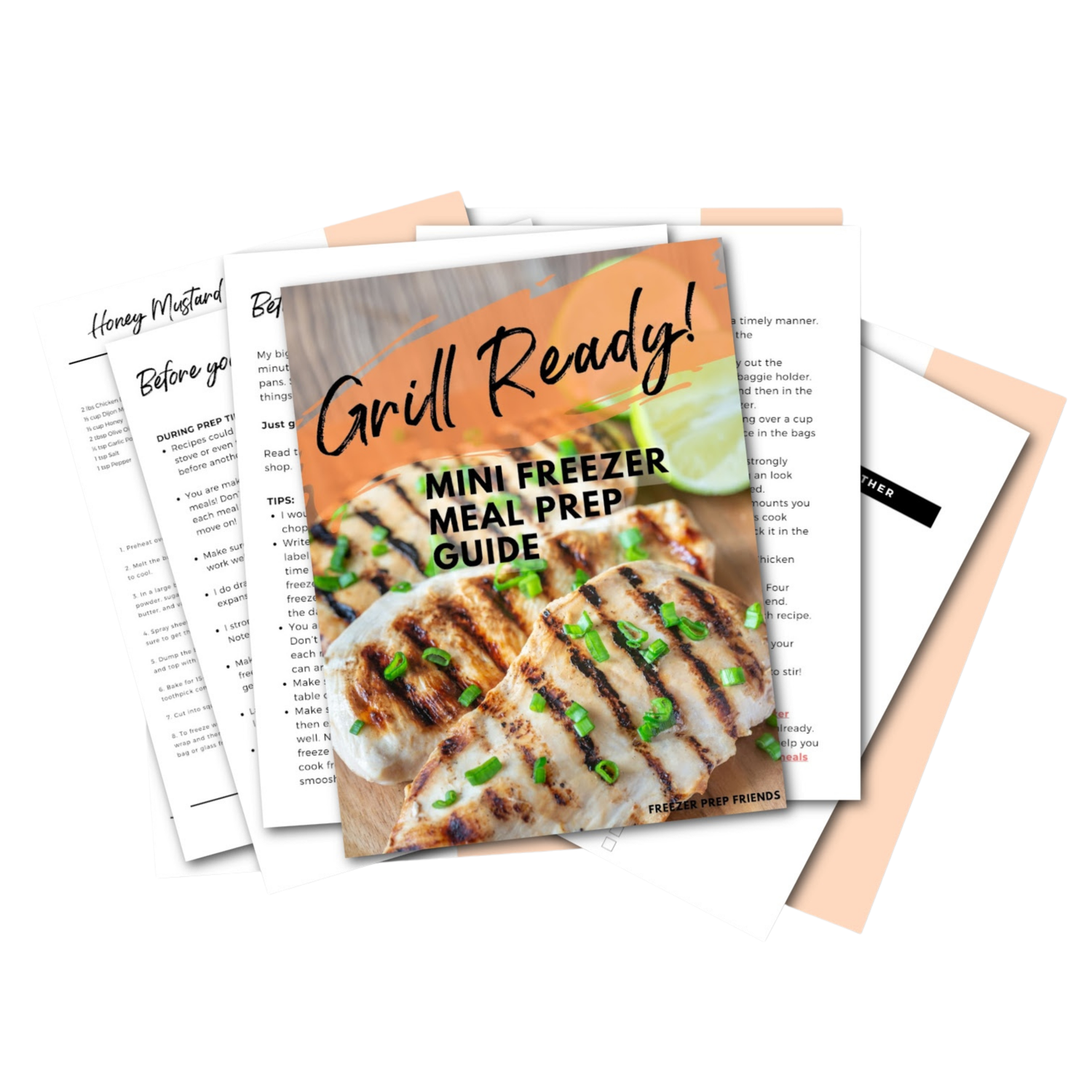 Grill Ready Mini Freezer Meal Guide