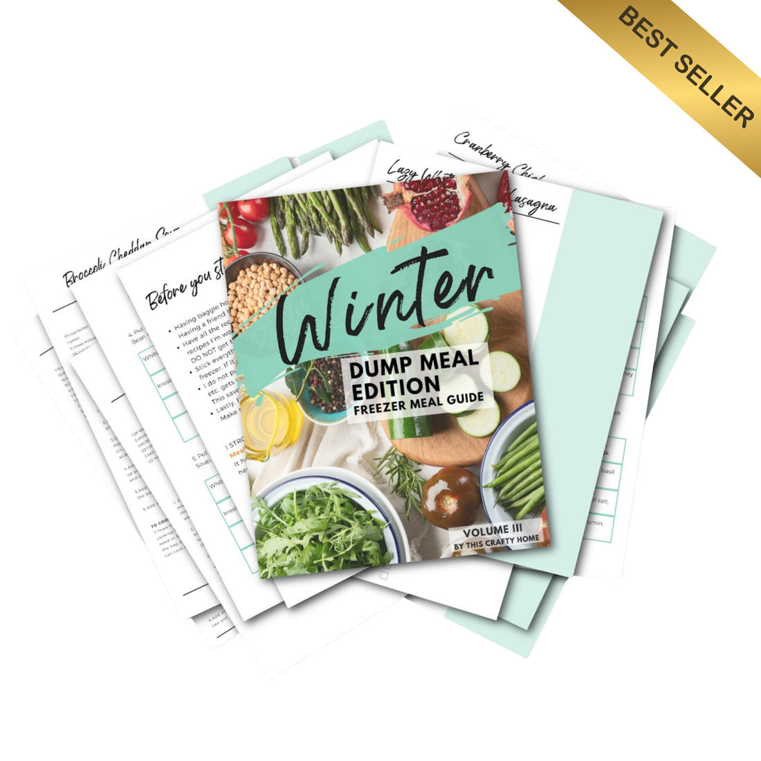 Winter Freezer Meal Guide Vol. III Dump Meal Edition