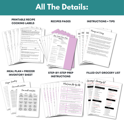 Spring Vol. III Freezer Meal Guide Dump Meal Edition