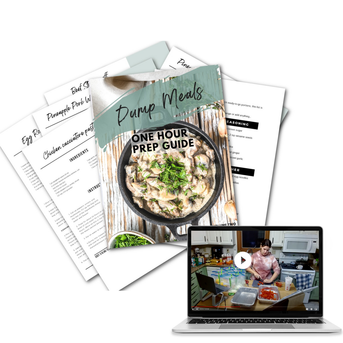 Dump Meals Mini Freezer Prep Vol. II