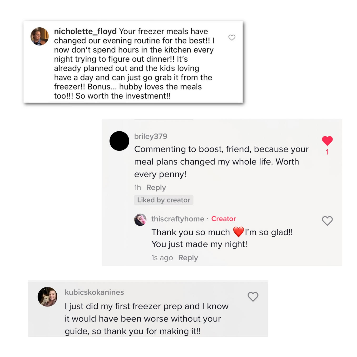 Cold Lunch To-Go One-Hour Mini Freezer Meal Guide