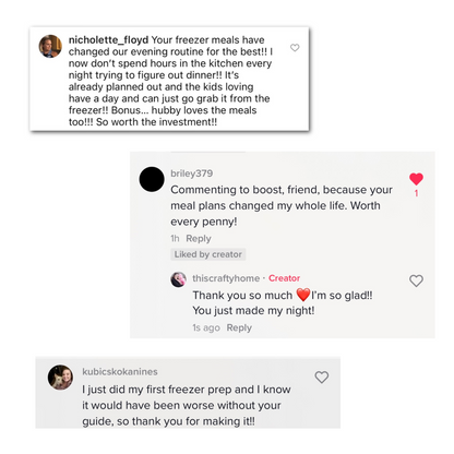 Cold Lunch To-Go One-Hour Mini Freezer Meal Guide